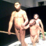 上野国立科学博物館＋神宮球場